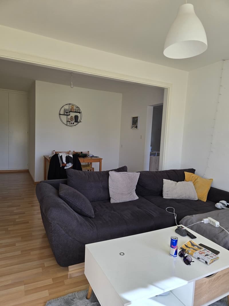 Appartamento di 3 locali di 67 m2 al 1° piano senza ascensore (2)