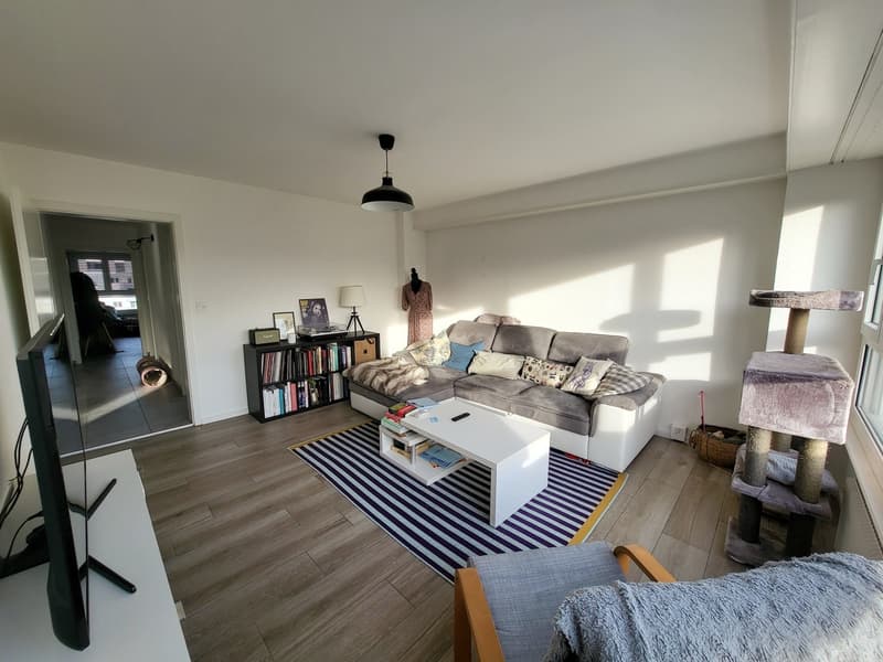 3.5-room apartment of 84 m2 on the 6th floor with elevator (4)