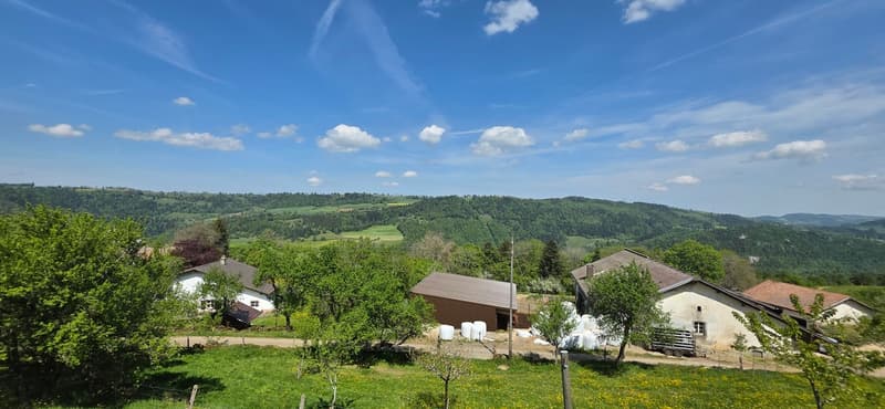 Haven of Peace in the Heart of Jura - Charming House (11)