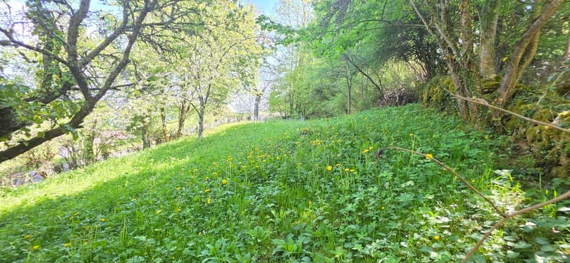 Haven of Peace in the Heart of Jura - Charming House (12)