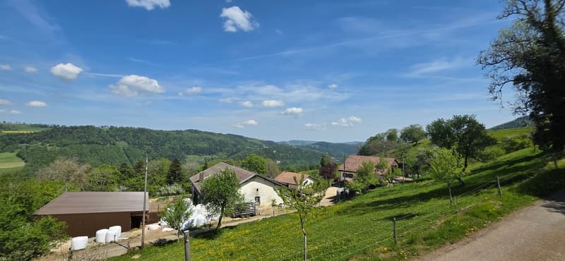 Haven of Peace in the Heart of Jura - Charming House (10)