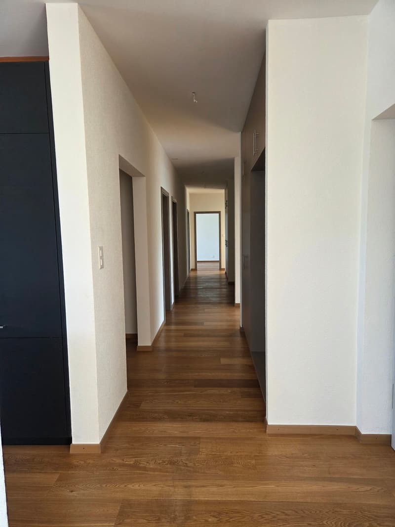 Exceptional apartment on the 6th floor with breathtaking views of Delémont (3)