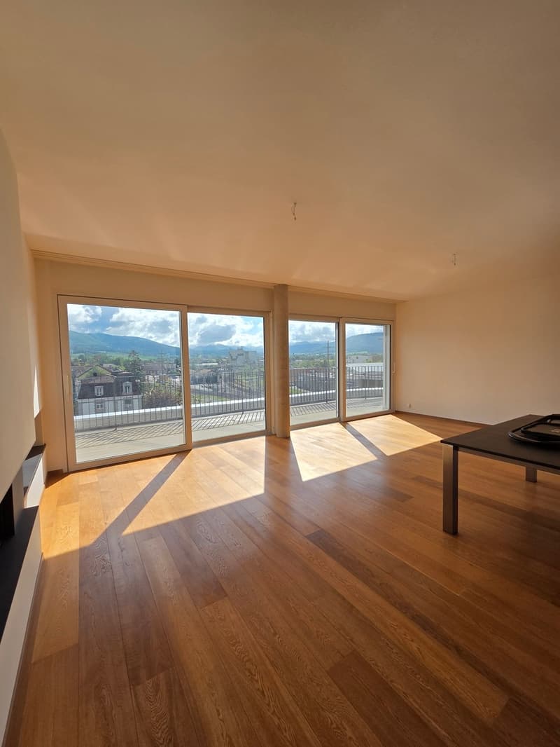 Exceptional apartment on the 6th floor with breathtaking views of Delémont (5)