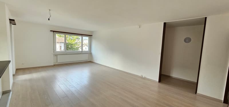 Bello appartamento ristrutturato di 3.5 locali (3)