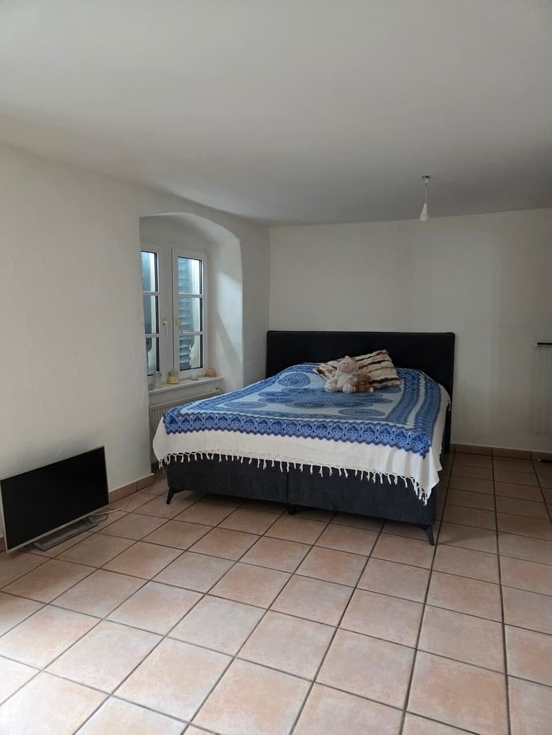 Monolocale di 25 m2 al 1° piano (2)