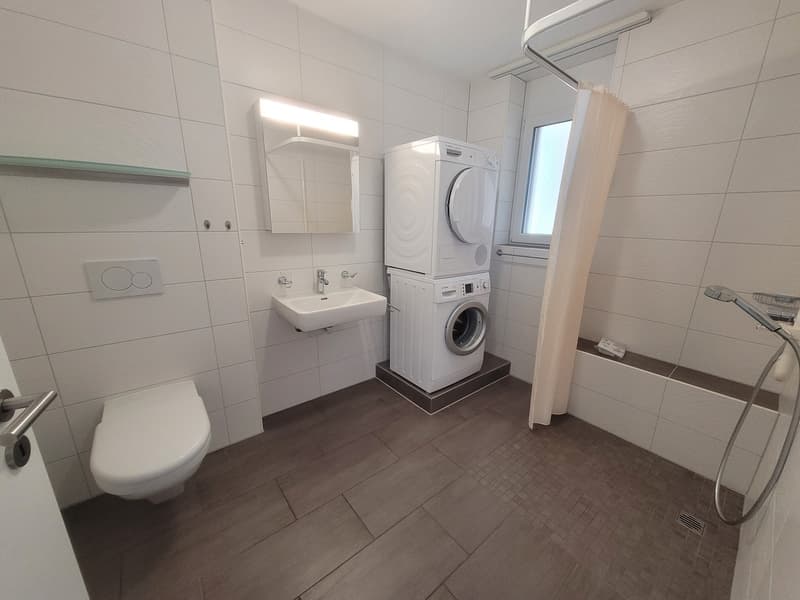 Appartamento 2,5 locali di 65m2 (3)