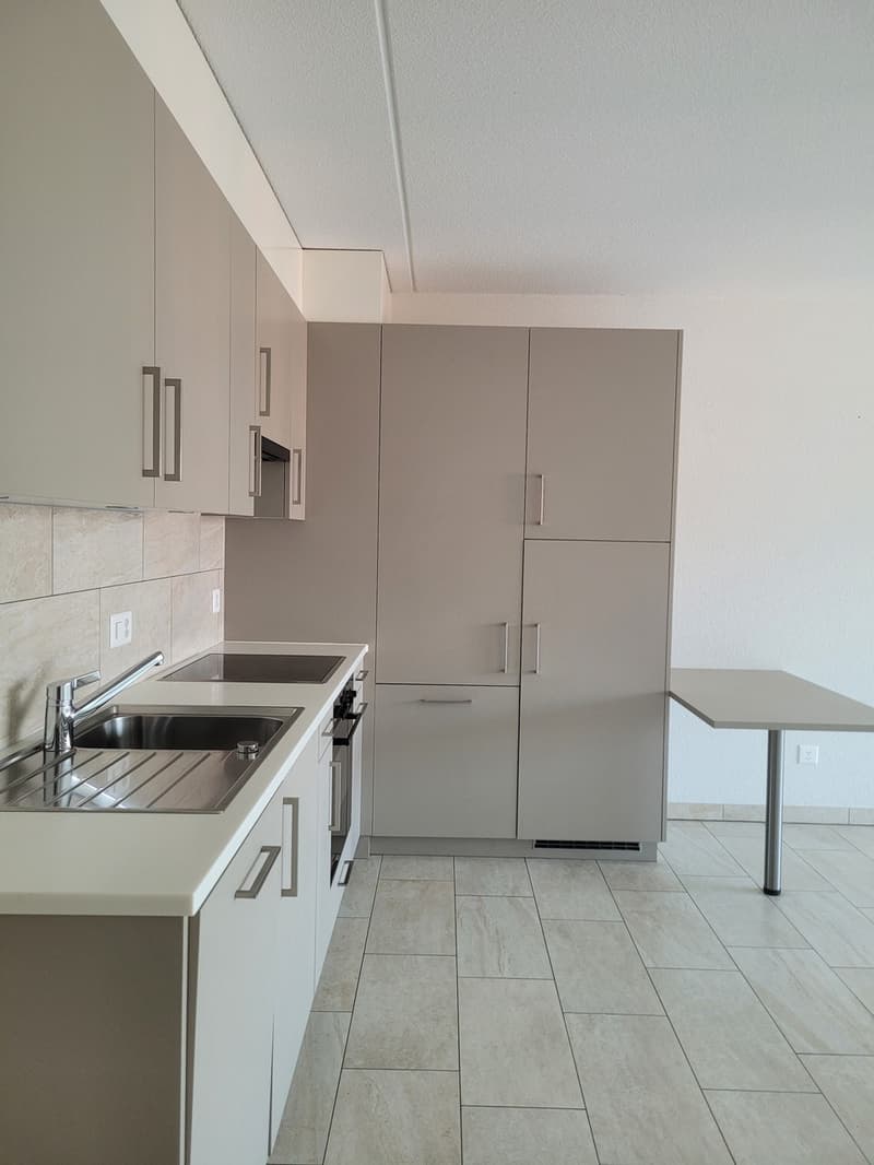 Appartamento 2,5 locali di 65m2 (2)