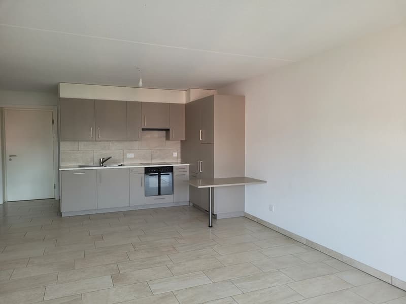 Appartamento 2,5 locali di 65m2 (1)
