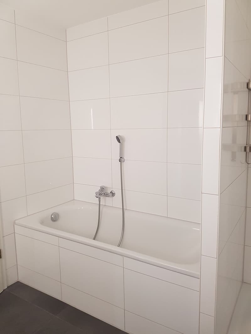 Apartment with 4.5 rooms and terrace (5)