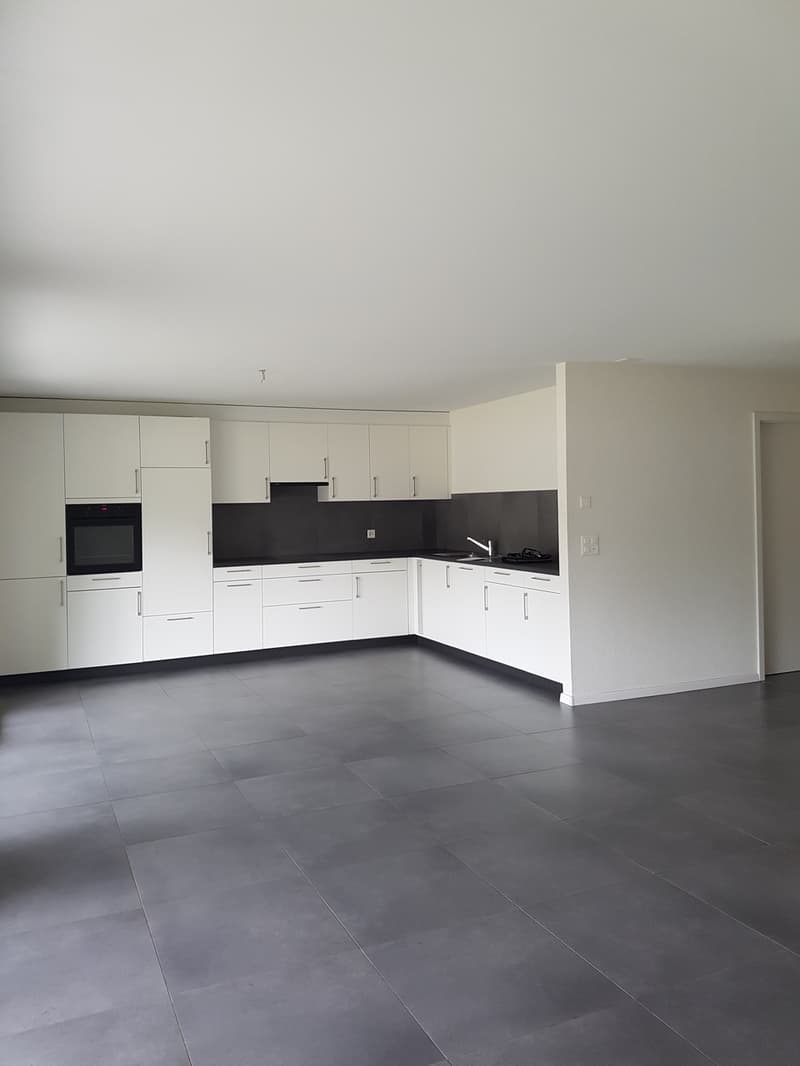 Apartment with 4.5 rooms and terrace (1)