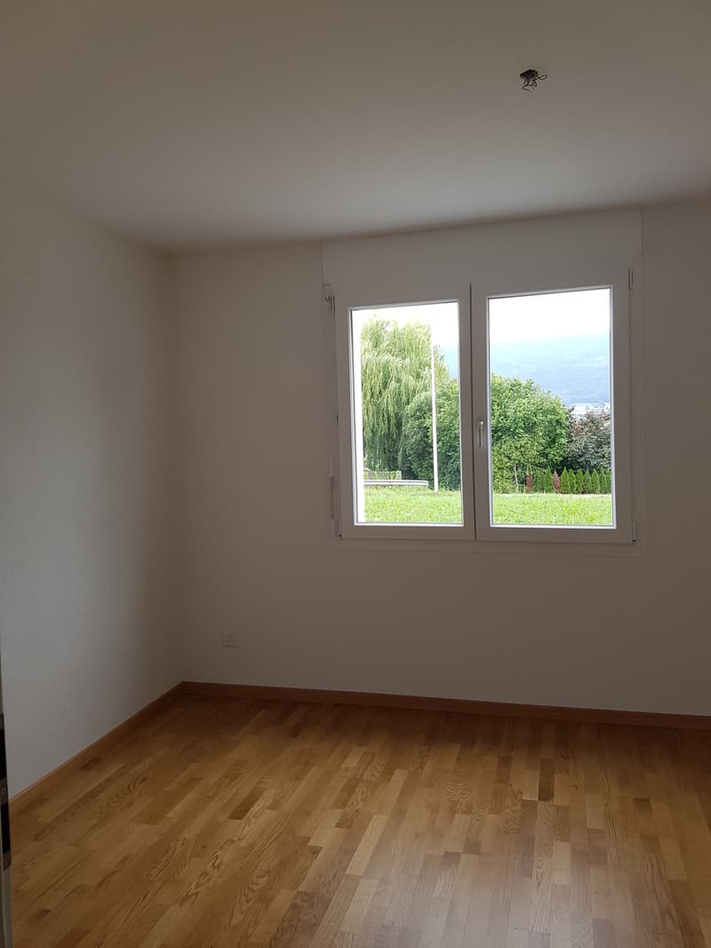 Apartment with 4.5 rooms and terrace (2)