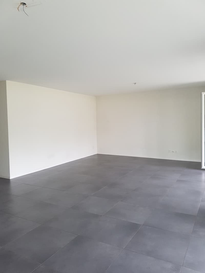 Apartment with 4.5 rooms and terrace (8)