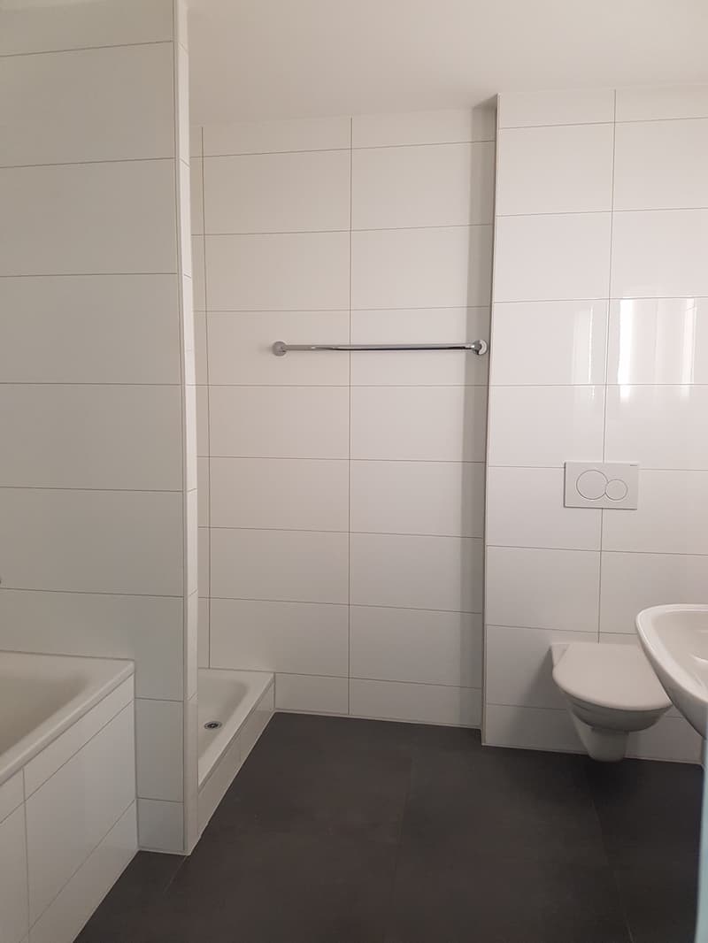 Apartment with 4.5 rooms and terrace (4)