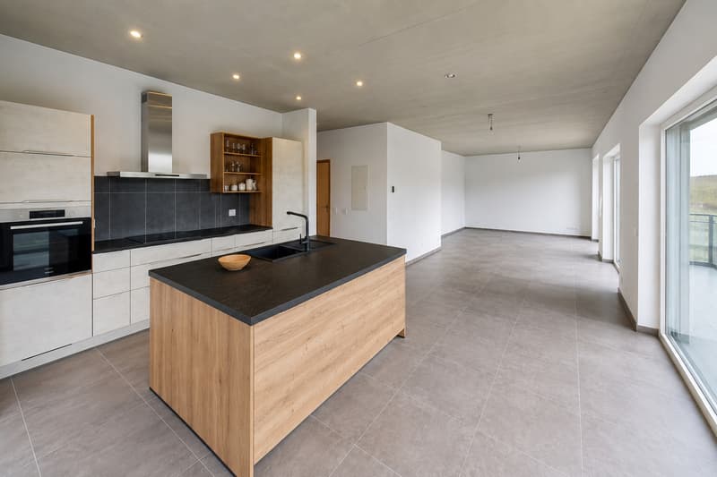 Comfort and generous volumes - Superb 3.5 rooms with 36m2 of terrace (1)