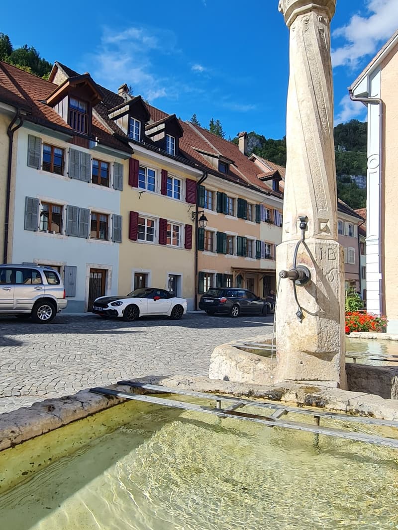 Charmant 2.5 pièces avec charmante petite terrasse privative (11)