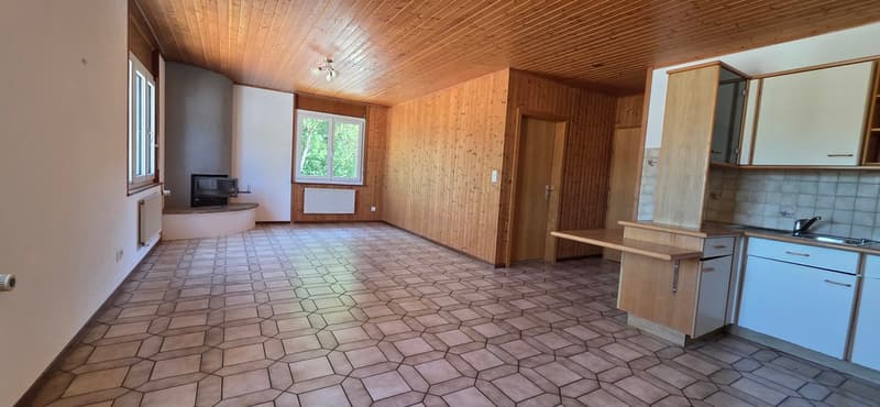 Appartement de 2 pièces chaleureux et à petit prix ! (2)