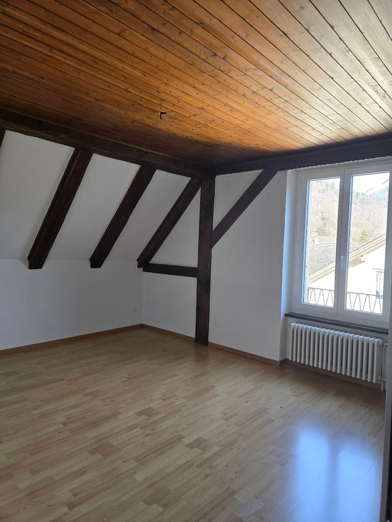 Attique en duplex avec cachet ! (4)