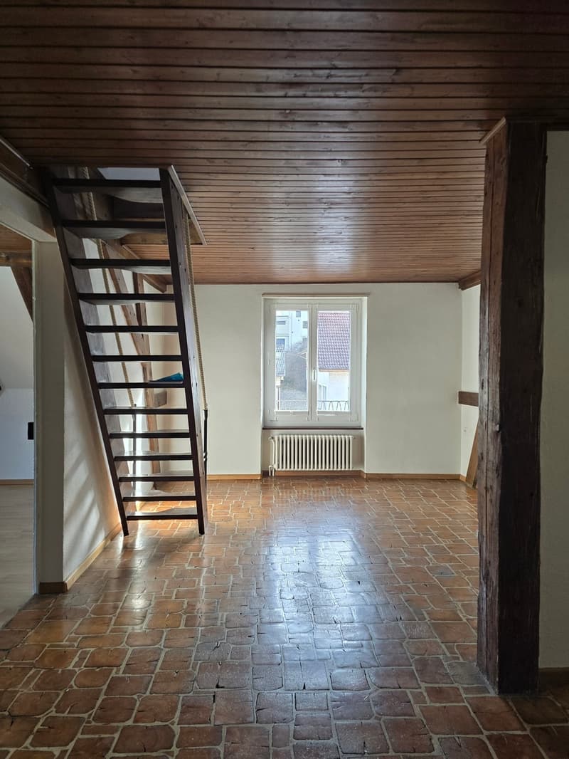 Attique en duplex avec cachet ! (3)
