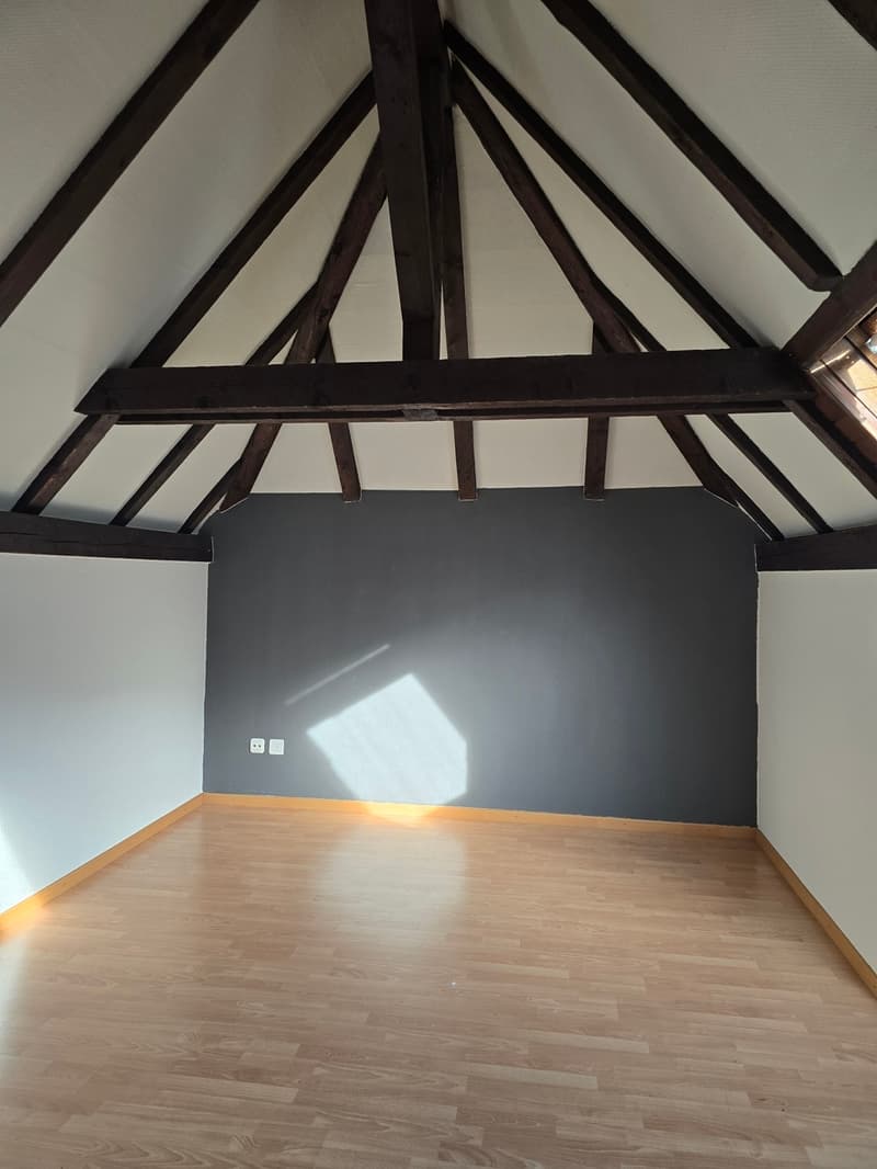 Attique en duplex avec cachet ! (6)