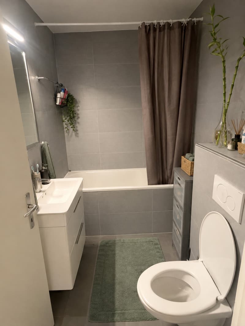 Appartement lumineux de 83 m2 (5)