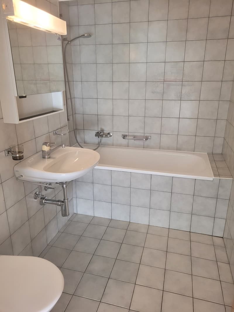 Appartement 2,5 pièces de 52 m2 avec terrasse (6)