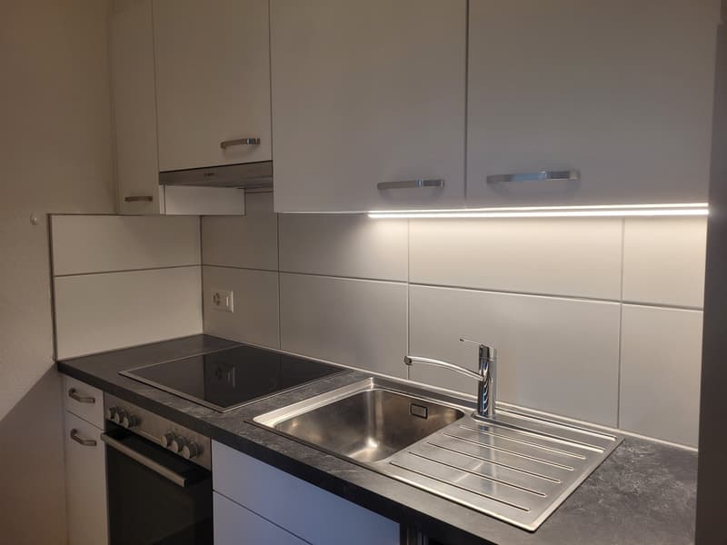 Appartement 2,5 pièces de 52 m2 avec terrasse (2)