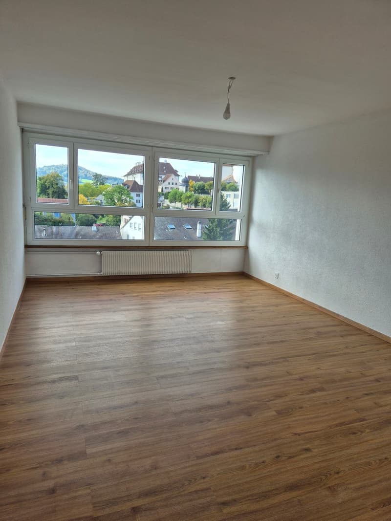 Appartement de 3 pièces au 7ème étage (3)