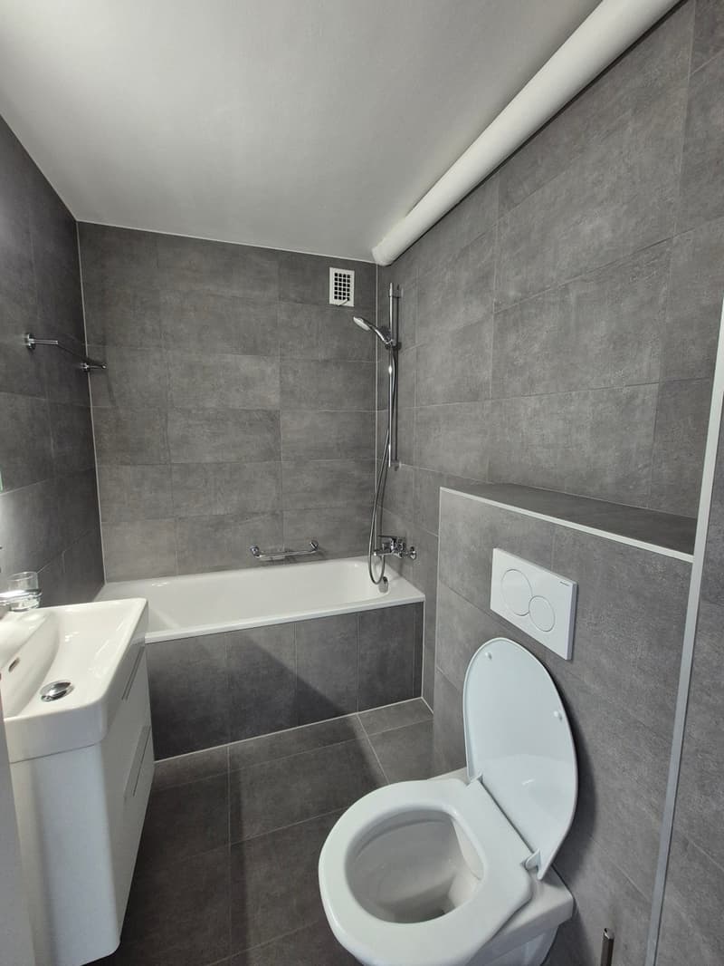 Appartement de 3 pièces au 7ème étage (4)