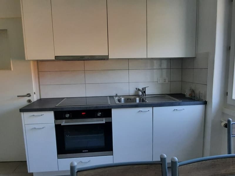 Appartement de 3,5 pièces rénové de 70m2 (1)