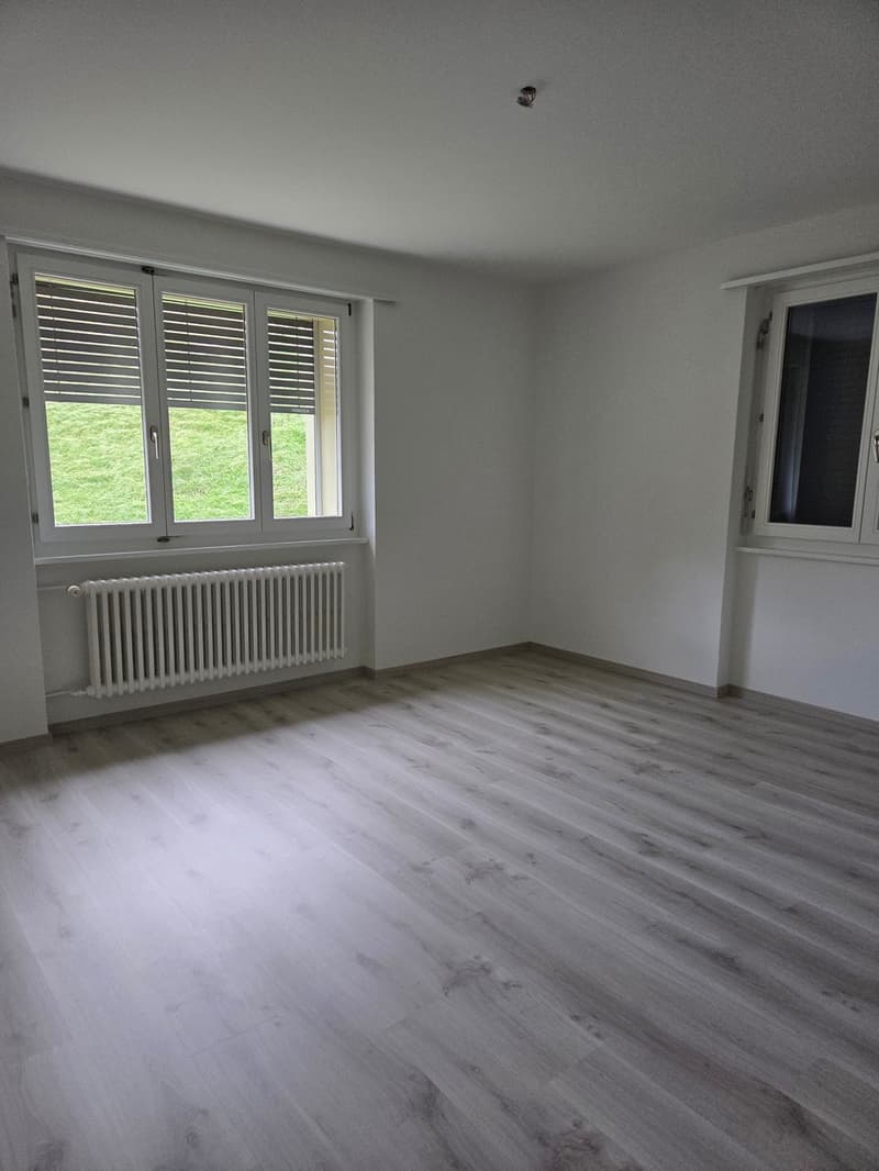 Appartement de 3,5 pièces rénové de 70m2 (4)