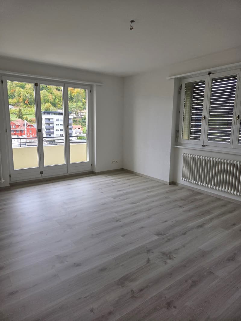 Appartement de 3,5 pièces rénové de 70m2 (5)