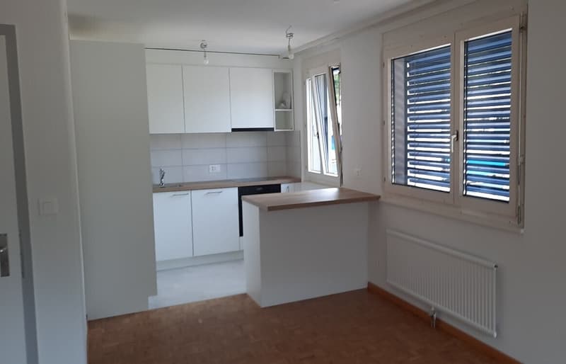 Bel appartement de 3,5 pièces rénové avec balcon (1)