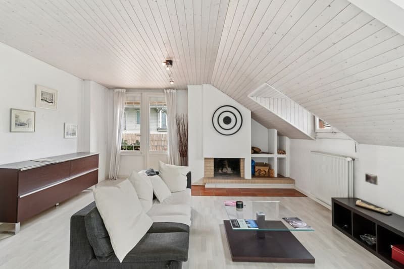 Belle vue lac - Magnifique attique à Pully (2)