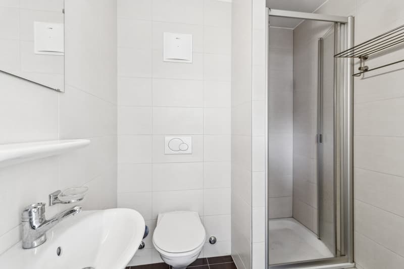Rare modern attic duplex between Lausanne and Pully (10)
