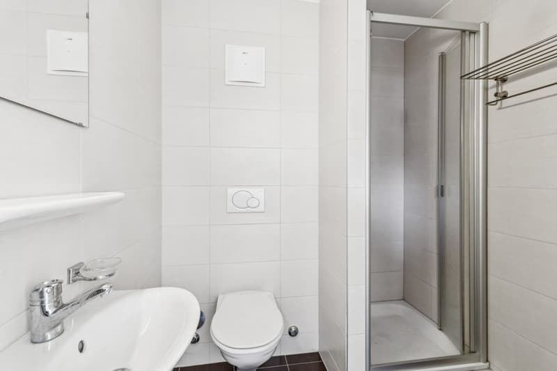 Rare attique-duplex moderne à Lausanne (10)