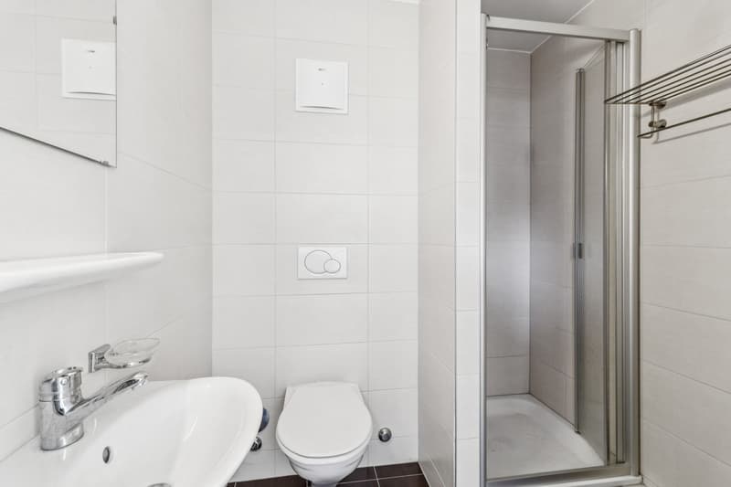 Seltenes modernes Attikaduplex in Lausanne (10)
