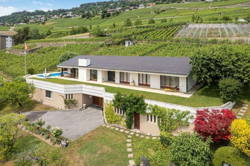 Between the green of the vines and the blue of the lake (1)