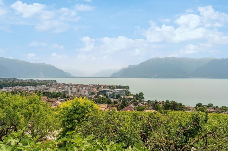 Entre le vert des vignes et le bleu du lac (10)