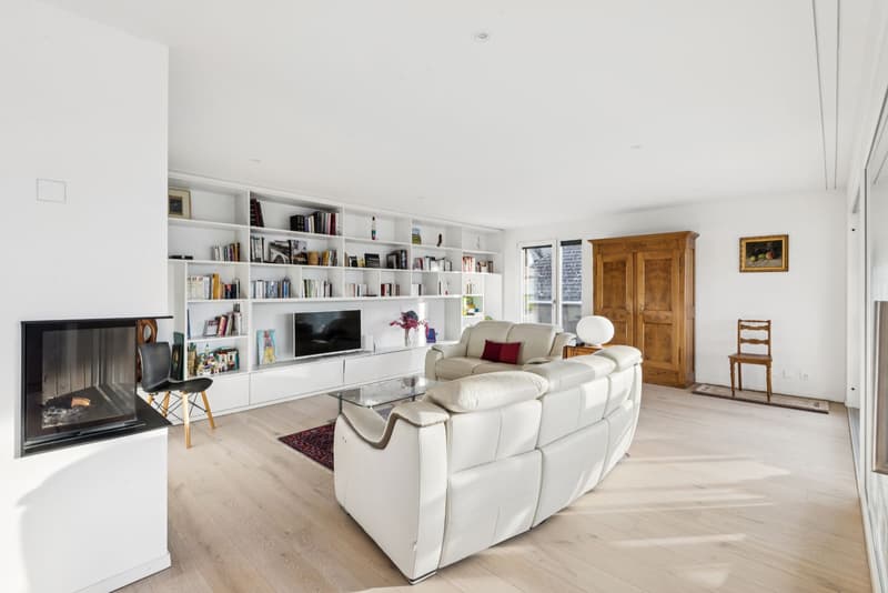 Own the View -- Exclusive Attic with Exceptional Panorama (5)