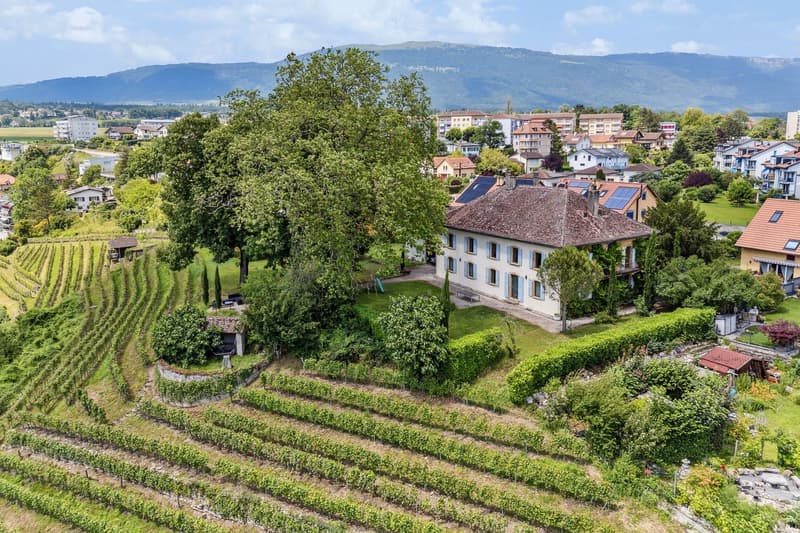 Somptueuse propriété historique sur un domaine viticole ! (5)