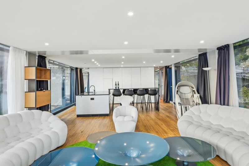Chef-d'OEuvre au coeur de la Riviera ! Vue à 360, à 10 minutes de Vev (6)