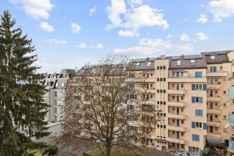 Charmant 2.5 pièces rénové avec vue lac et cachet historique - Centre (7)