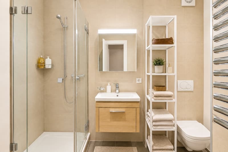 Charming 2.5-room apartment renovated with lake view and historic charm - Center (6)