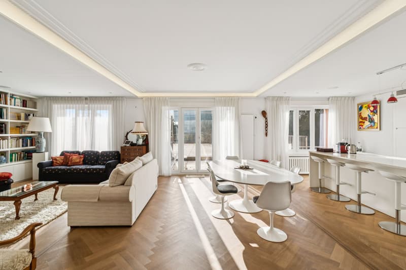 Beautiful apartment in the center of Lausanne (2)