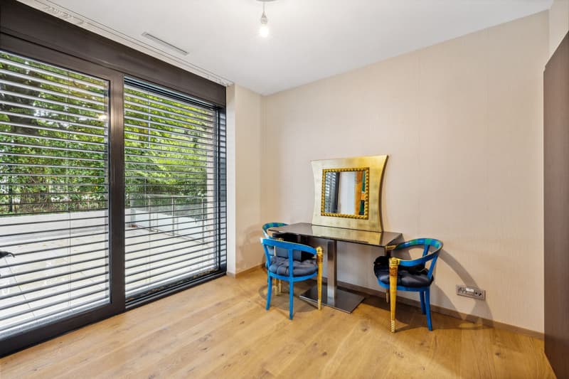 Magnificent 4-room apartment with terrace (10)