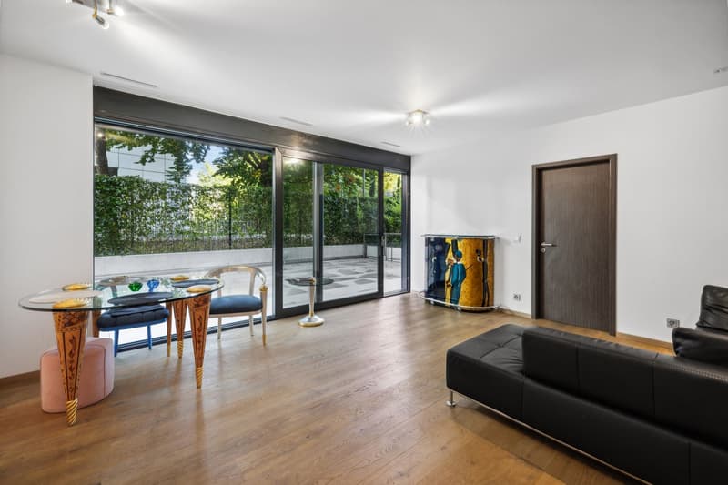 Magnificent 4-room apartment with terrace (1)