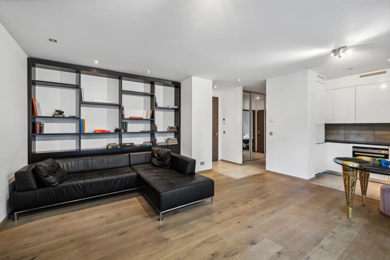 Magnificent 4-room apartment with terrace (3)