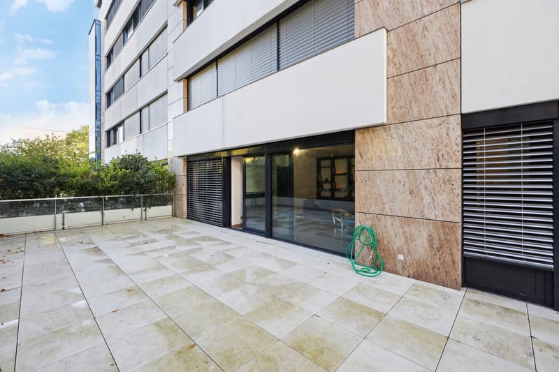 Magnificent 4-room apartment with terrace (5)