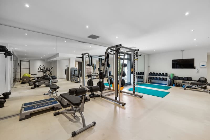 Magnificent 4-room apartment with terrace (12)