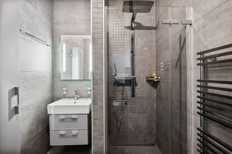 Magnificent 4-room apartment with terrace (9)